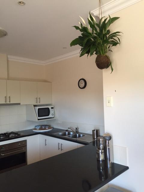 Salt Air On Lochard Place Appartement Warrnambool Buitenkant foto